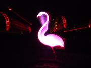 Grugapark Essen - Spielen mit Licht - Parkleuchten 2013 - Flamingo (c)2013 Wolfgang Bning